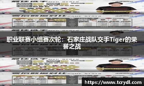 职业联赛小组赛次轮：石家庄战队交手Tiger的荣誉之战